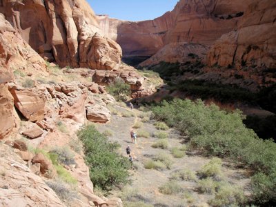 Ruins, an arch, and rock art are hidden in this canyon